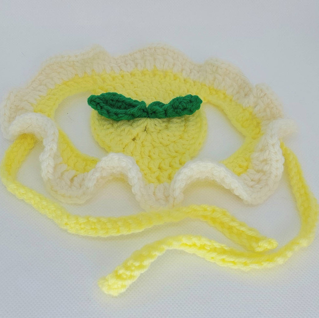 Crochet Lemon Hat - Cat Bonnet - Pet Hat