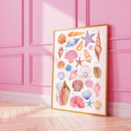Seashells Print