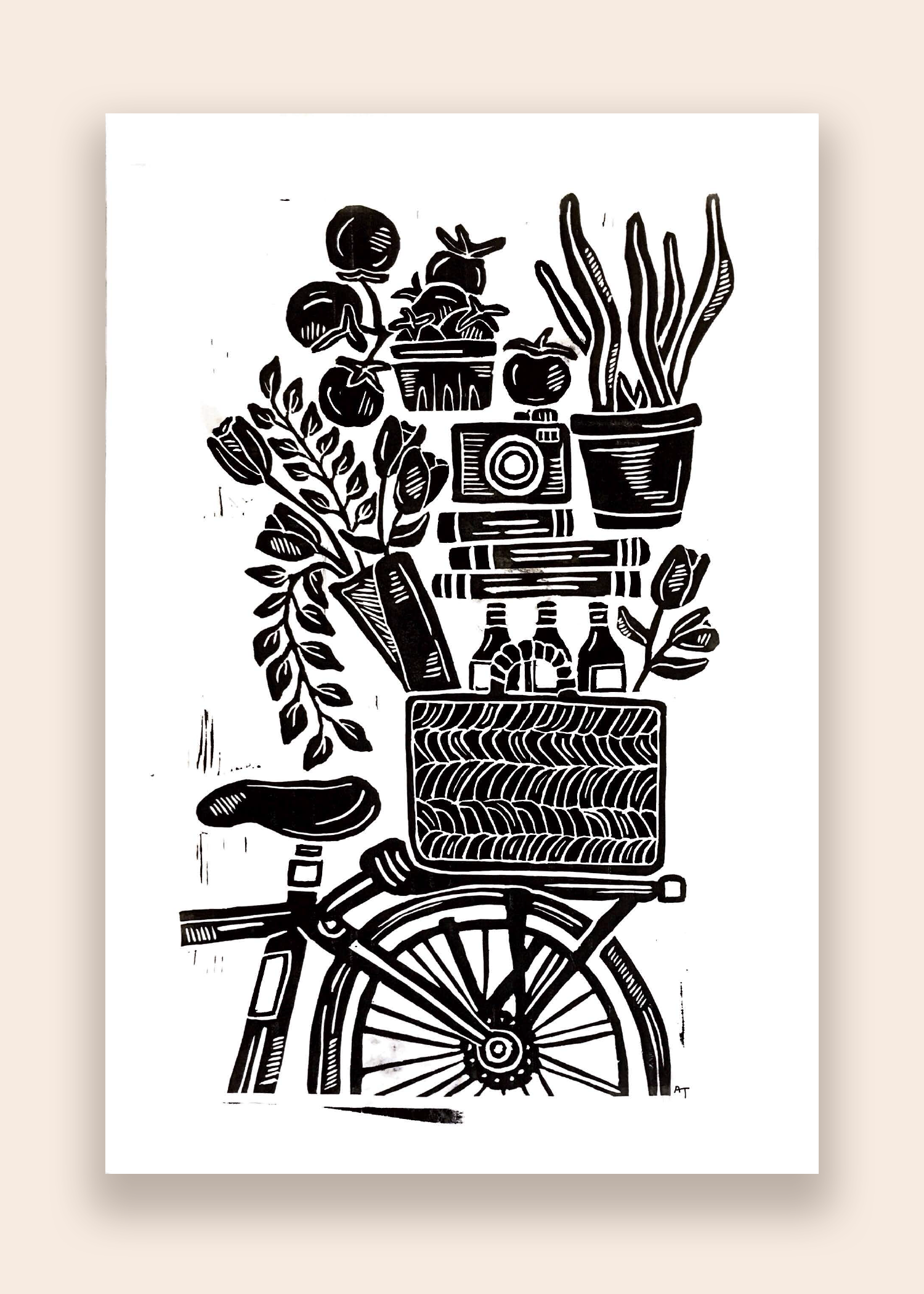 Big Bike Basket