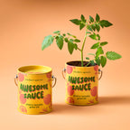 Complimentary Color Grow Kits