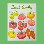 Risograph Tomato Print 8.5"x11" | Heirloom Tomato Art Print