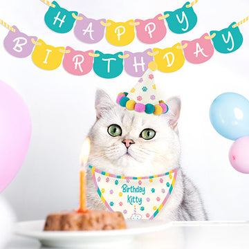 Birthday Kitty- Cat Birthday Kit