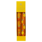 Citrus Taper Candles - 2 Pack