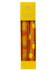 Citrus Taper Candles - 2 Pack