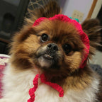 Crochet Strawberry Hat - Cat Bonnet - Pet Hat