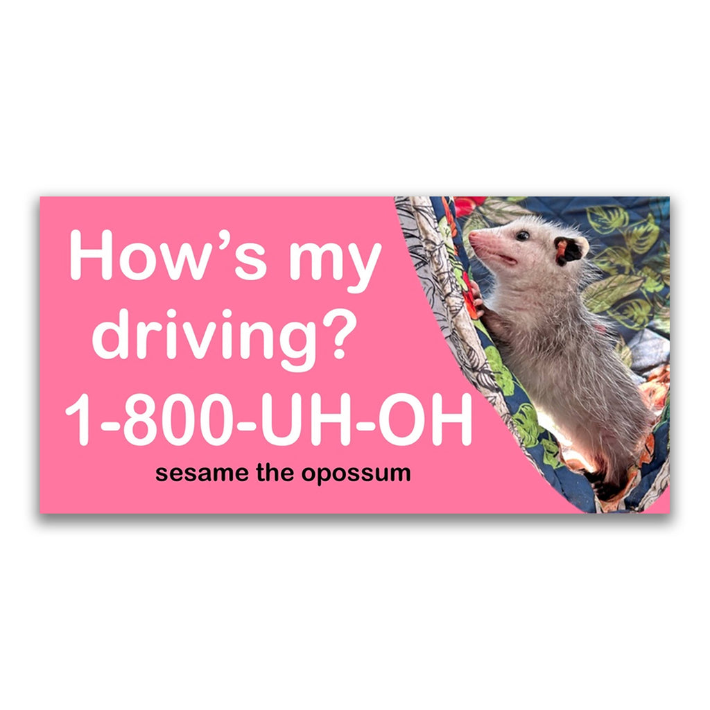 Baddy Bumper Stickers