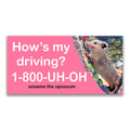Baddy Bumper Stickers