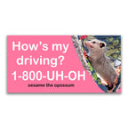 Baddy Bumper Stickers