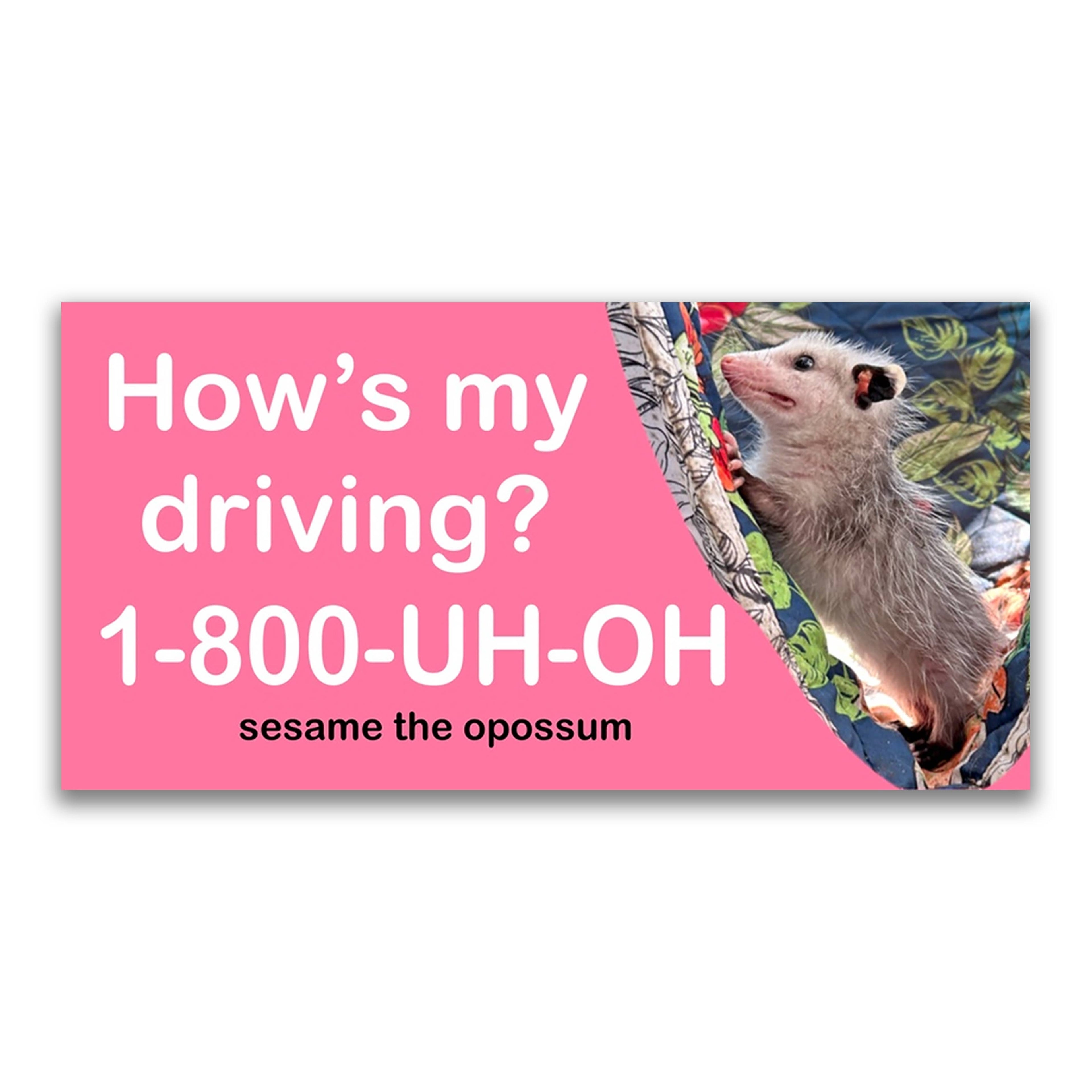 Baddy Bumper Stickers
