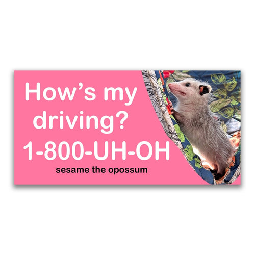 Baddy Bumper Stickers