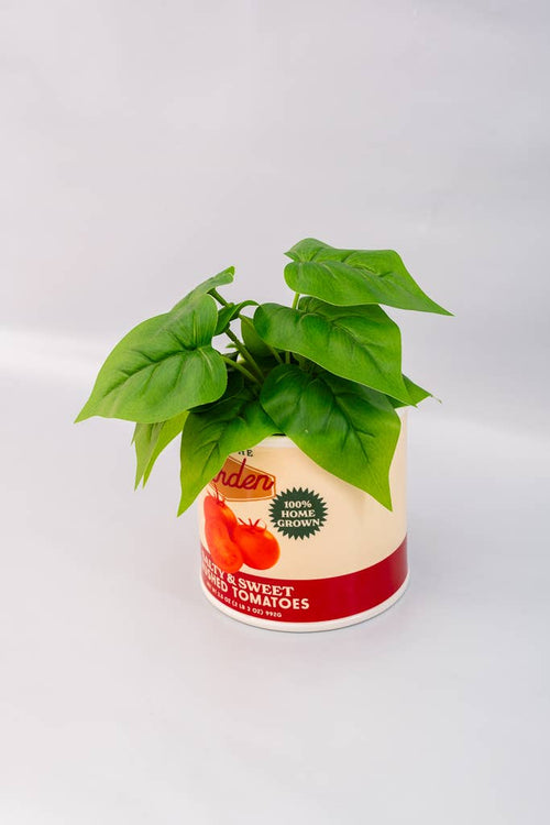 Ceramic Vase, Tomato Can