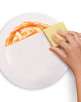 Spongioli - Set of 6 - Ravioli Compressed Sponges