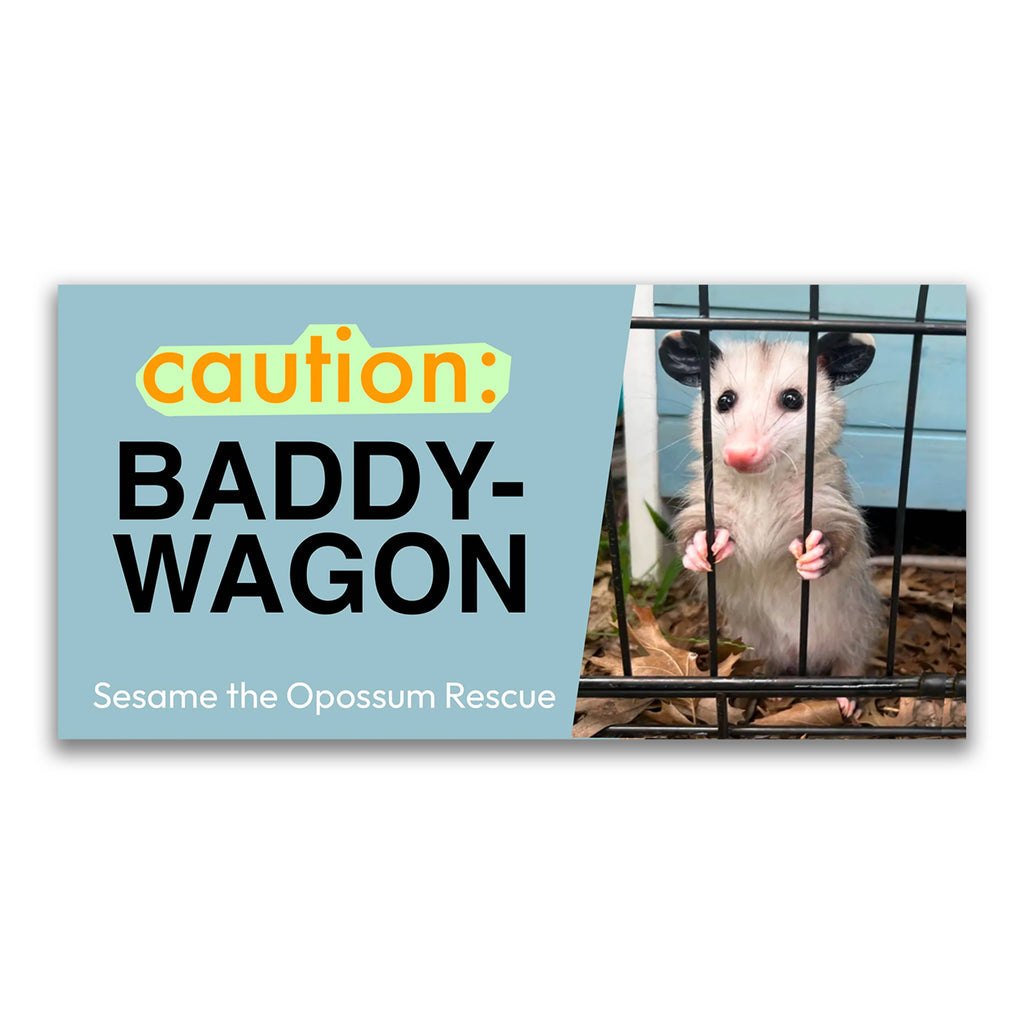 Baddy Bumper Stickers