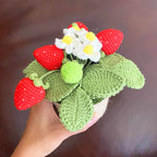 Crochet Small Strawberry Pot