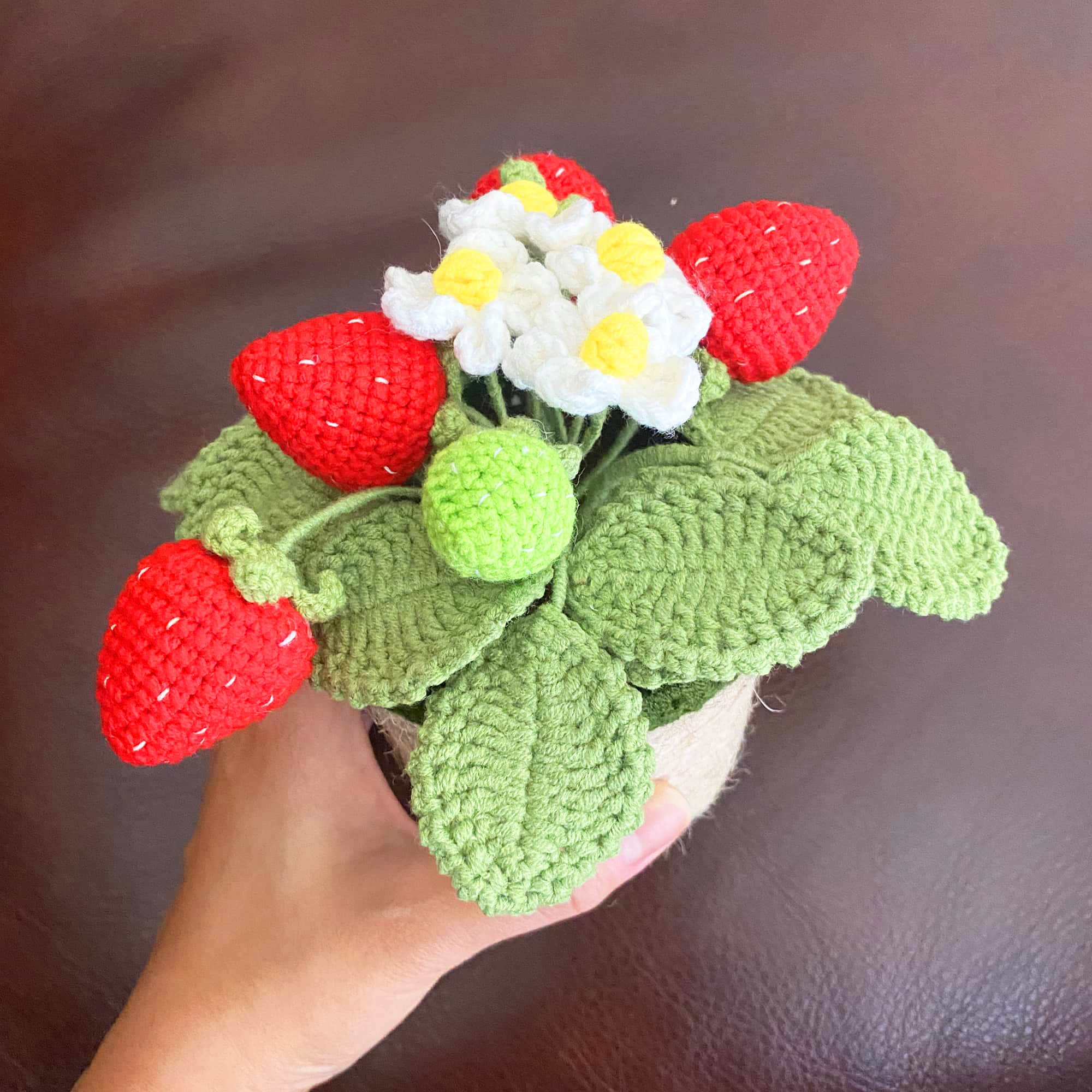 Crochet Small Strawberry Pot