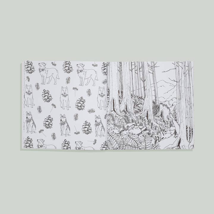 Plant Lady Coloring Book