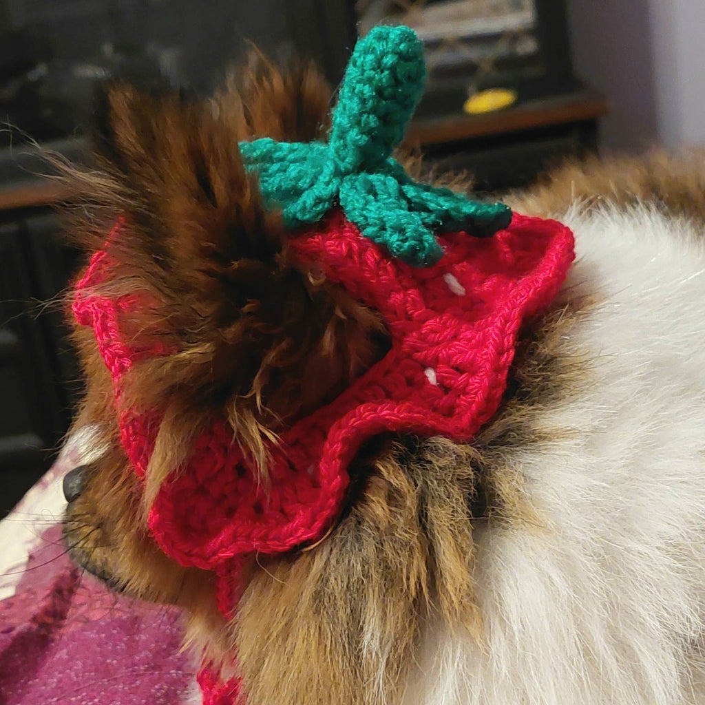 Crochet Strawberry Hat - Cat Bonnet - Pet Hat
