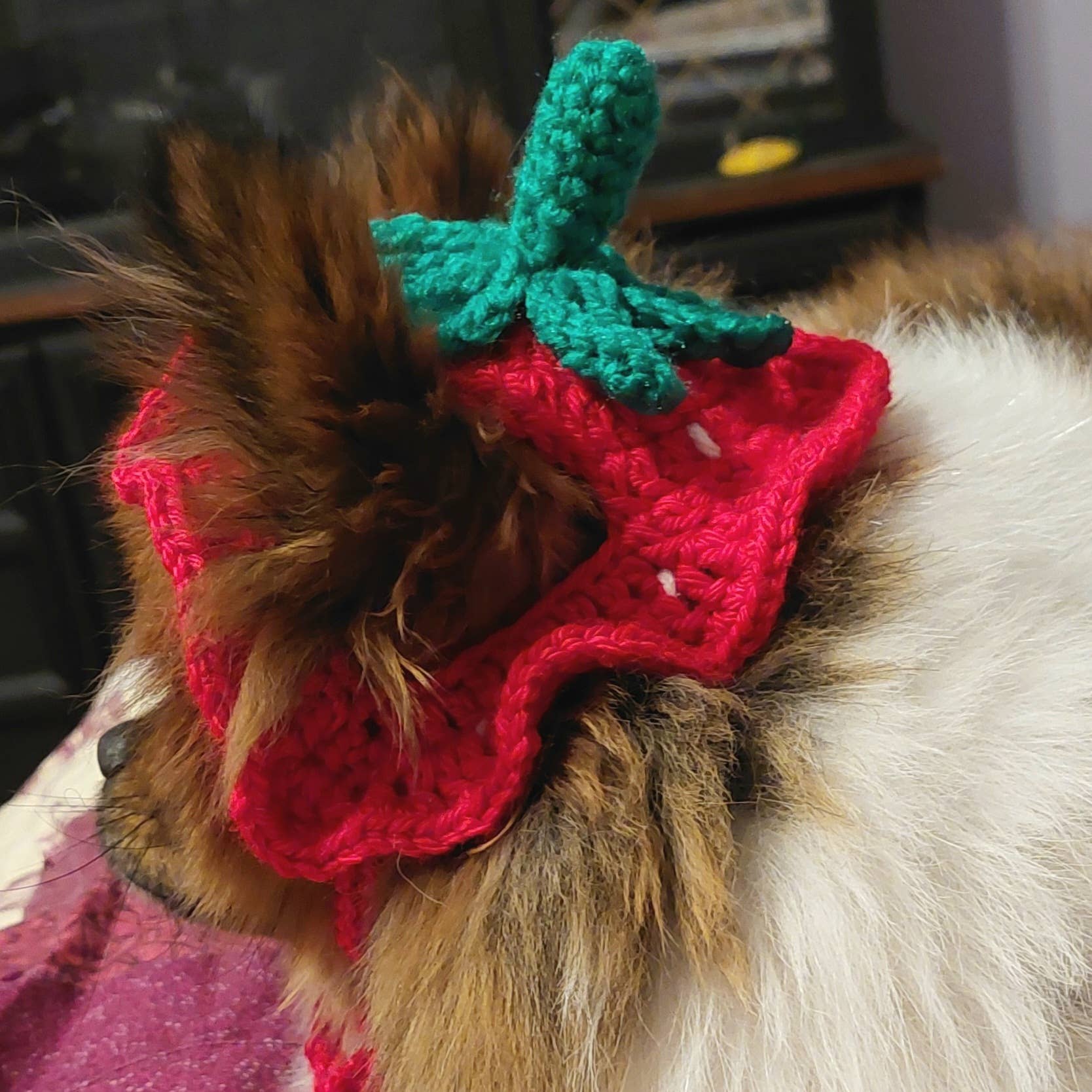 Crochet Strawberry Hat - Cat Bonnet - Pet Hat