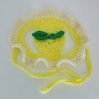 Crochet Lemon Hat - Cat Bonnet - Pet Hat