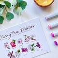 Cherry Blossom Varieties | Recycled Cardstock Print 5x7
