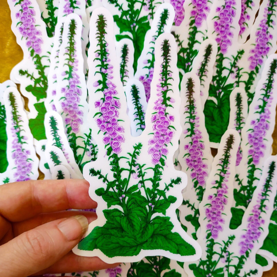 Foxglove Sticker