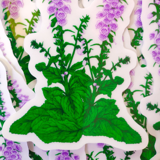 Foxglove Sticker