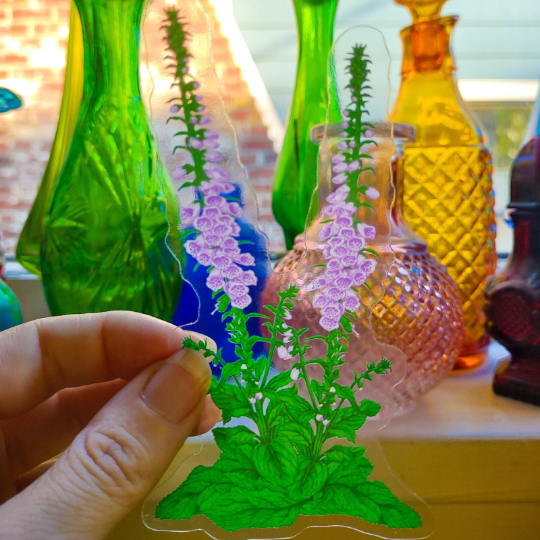 Foxglove Sticker