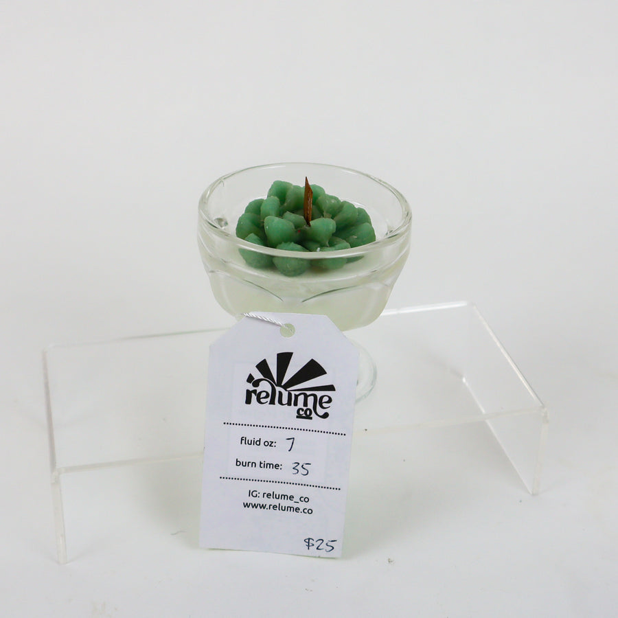 Aloe Cactus Blossom Organic Soy Candle - Your Succulentcy