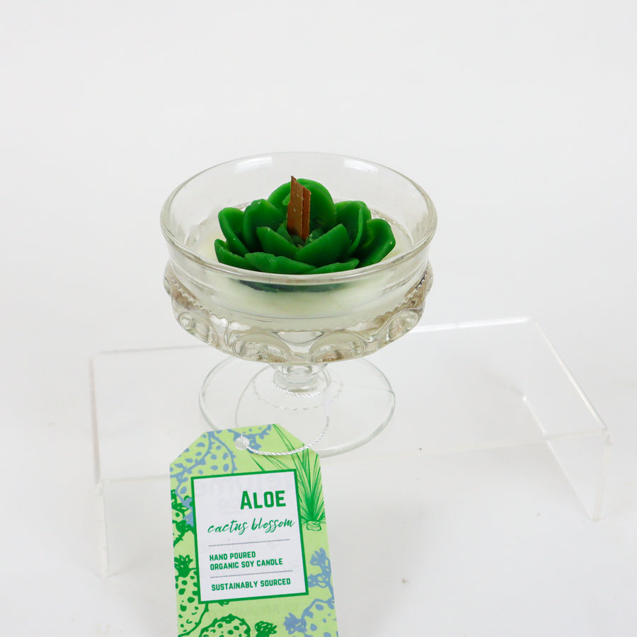 Aloe Cactus Blossom Organic Soy Candle - Succulent Fancy