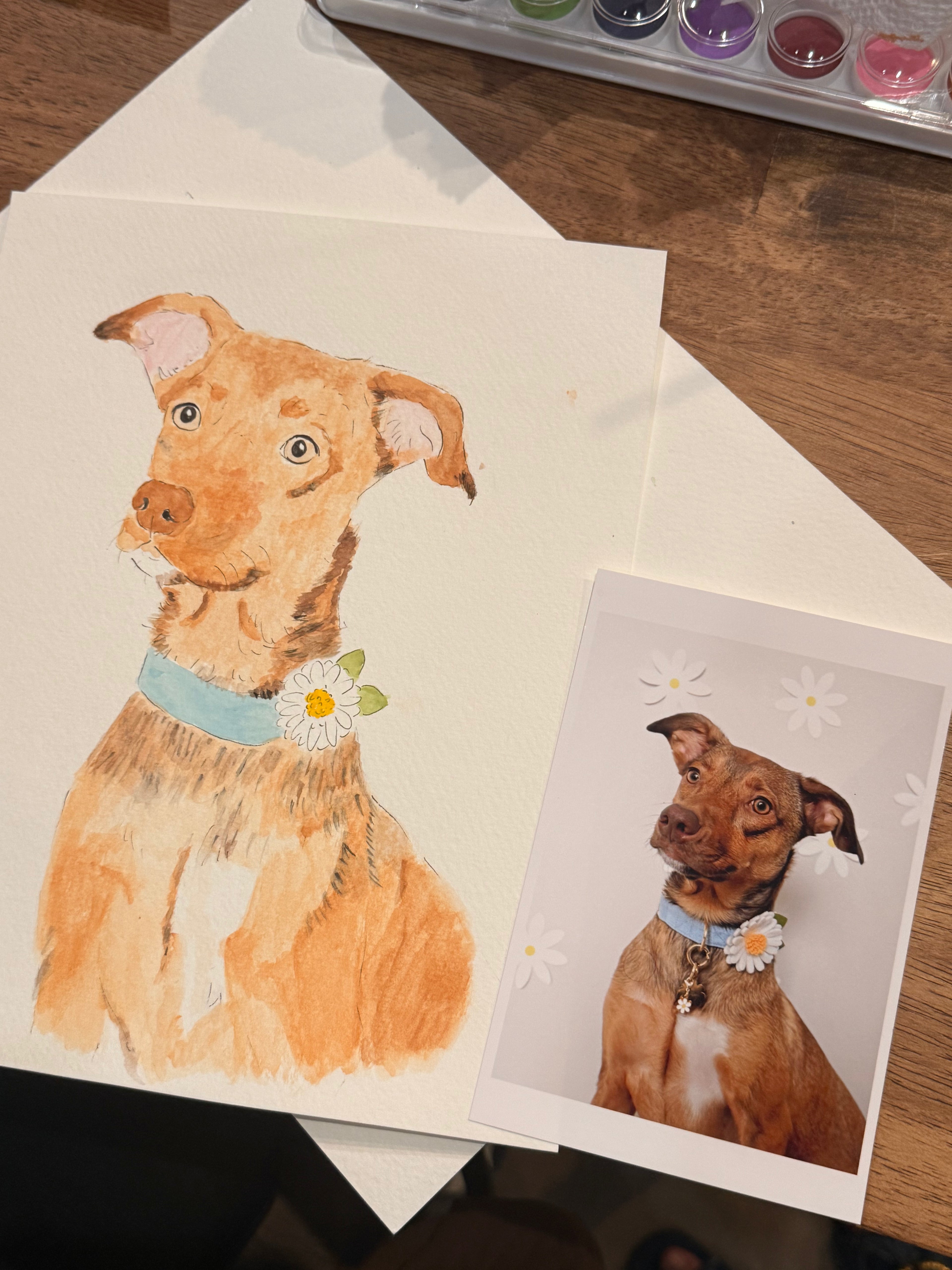 Pet Portrait Workshop