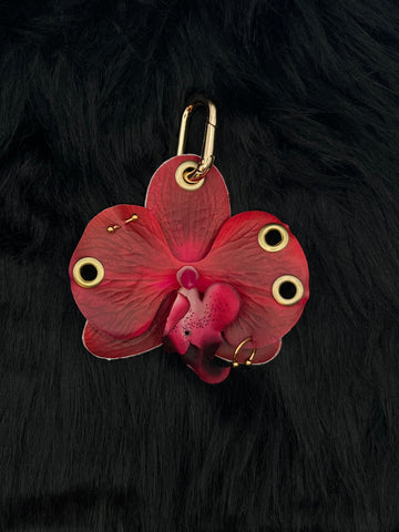 Red Orchid with Gold Piercings