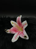 Pink Lily with Gold Piercings