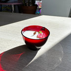 Cherry Blossom Organic Candle 2025 - 13