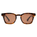 Palmer Sunglasses