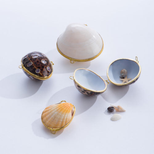 Seashell Boxes