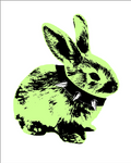 Hardcore bunny print