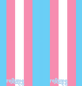 Trans Flag Lighter