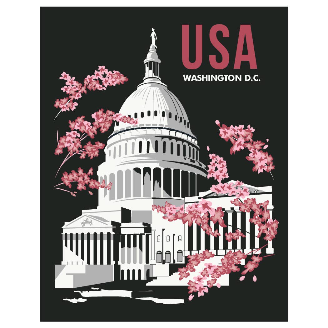 2.5'' x 3.5 Washington DC Capital Building & Cherry Blossoms