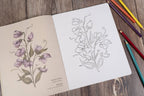 Floriography Coloring Book