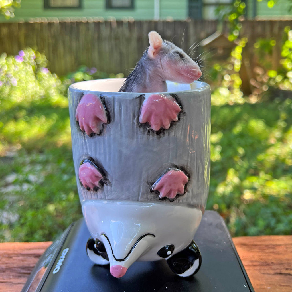 Upside-Down Opossum Mug!