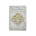 Paper Soap – Sweet Peppermint Scent, Travel Size, 50 Sheets