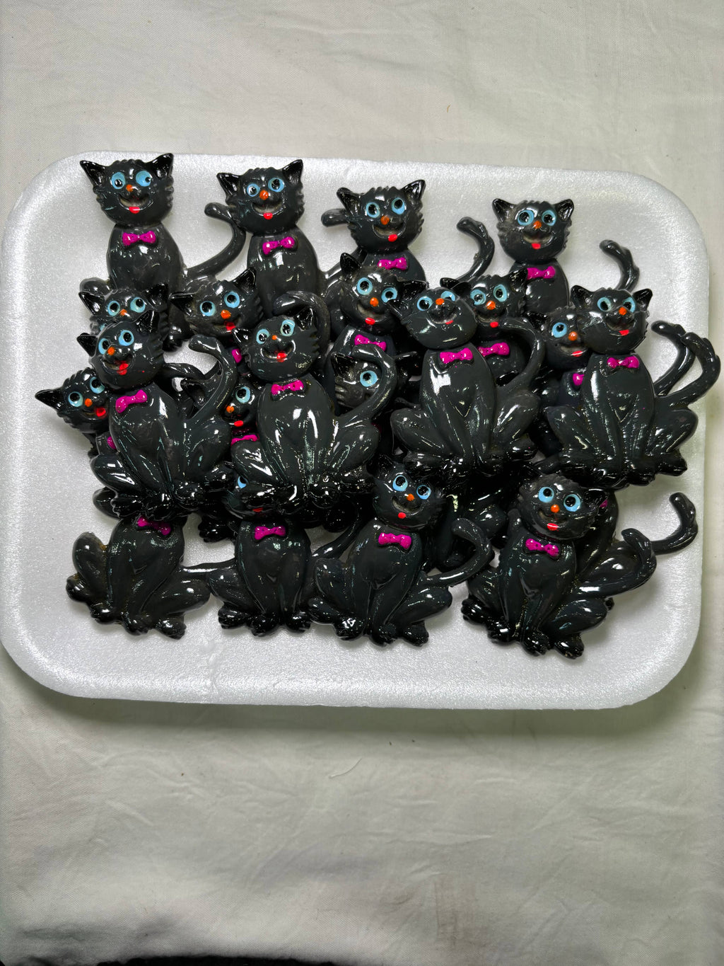 Cat Kitchen Magnet