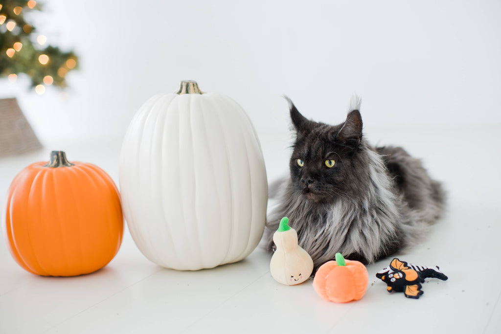 Gourds Fall Cat Toys, Set of 2