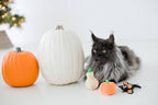 Gourds Fall Cat Toys, Set of 2