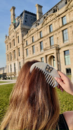 Hand-painted Butterfly Gua Sha Hair Comb