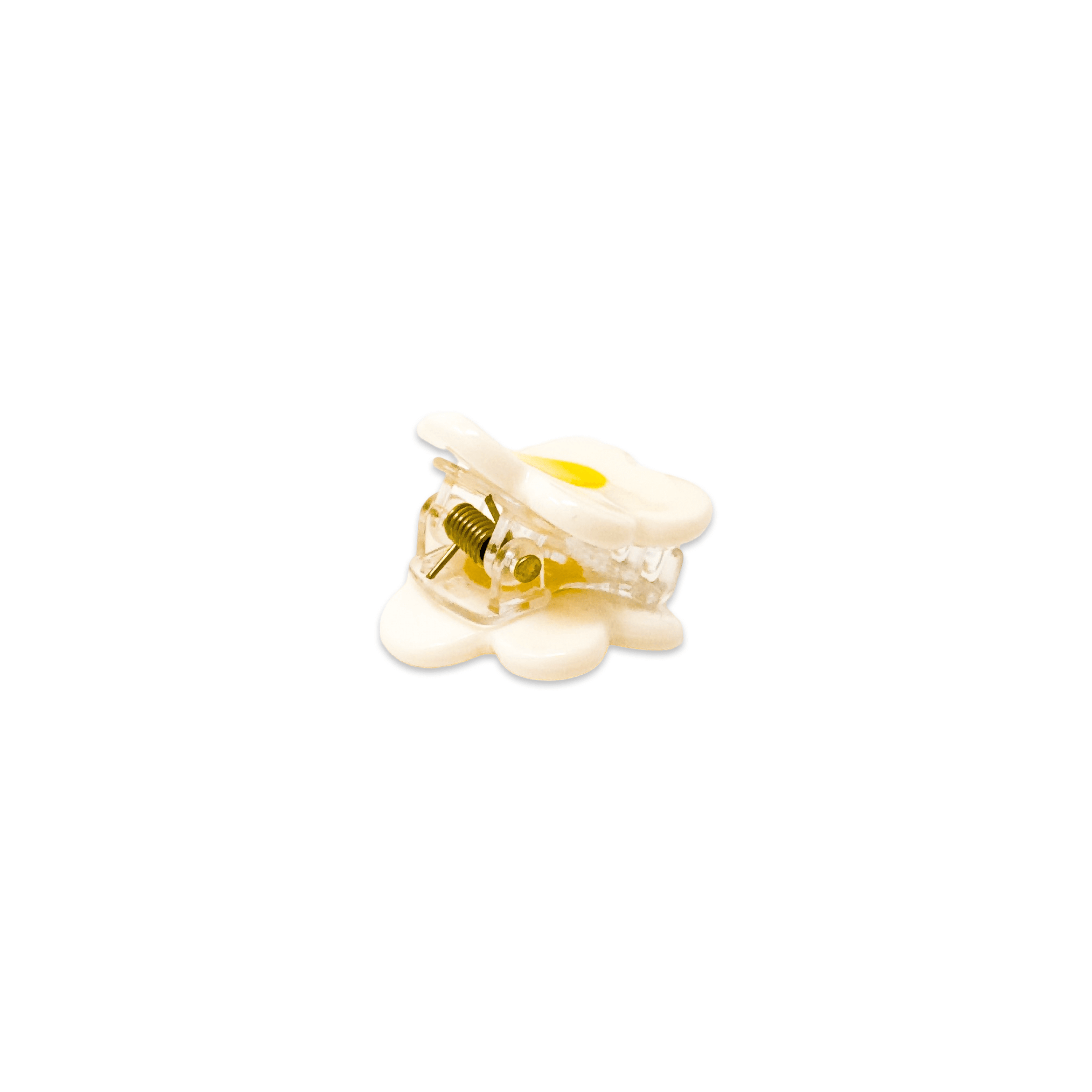 Micro Fruit and Flowers Hair Claw Clip Set