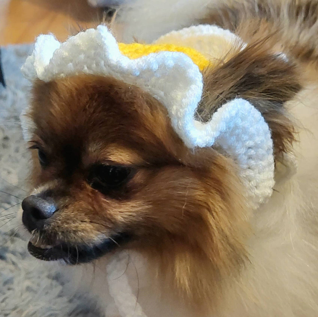 Crochet Fried Egg Hat - Cat Hat - Pet Hat - Made to order