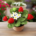 Crochet Small Strawberry Pot