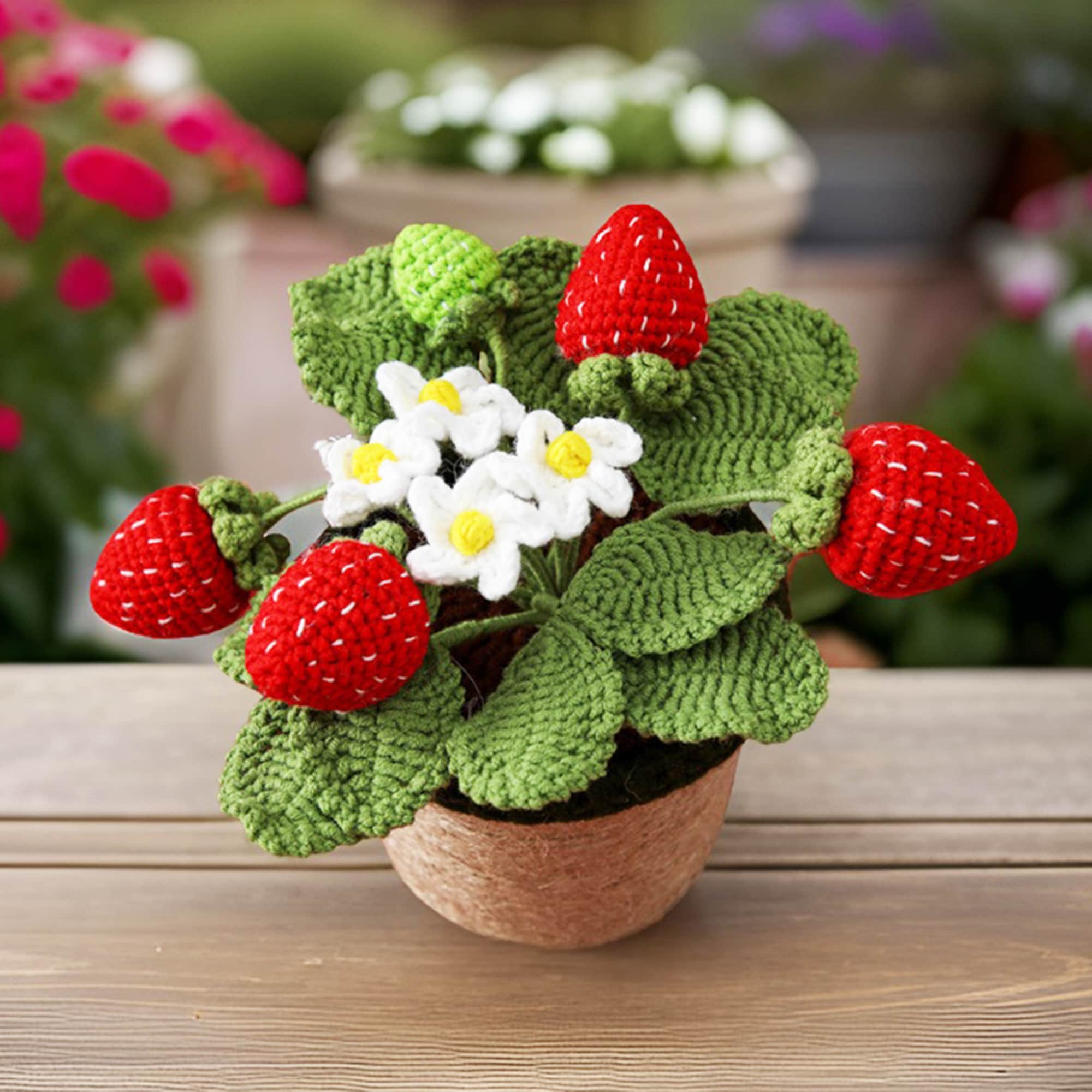 Crochet Small Strawberry Pot