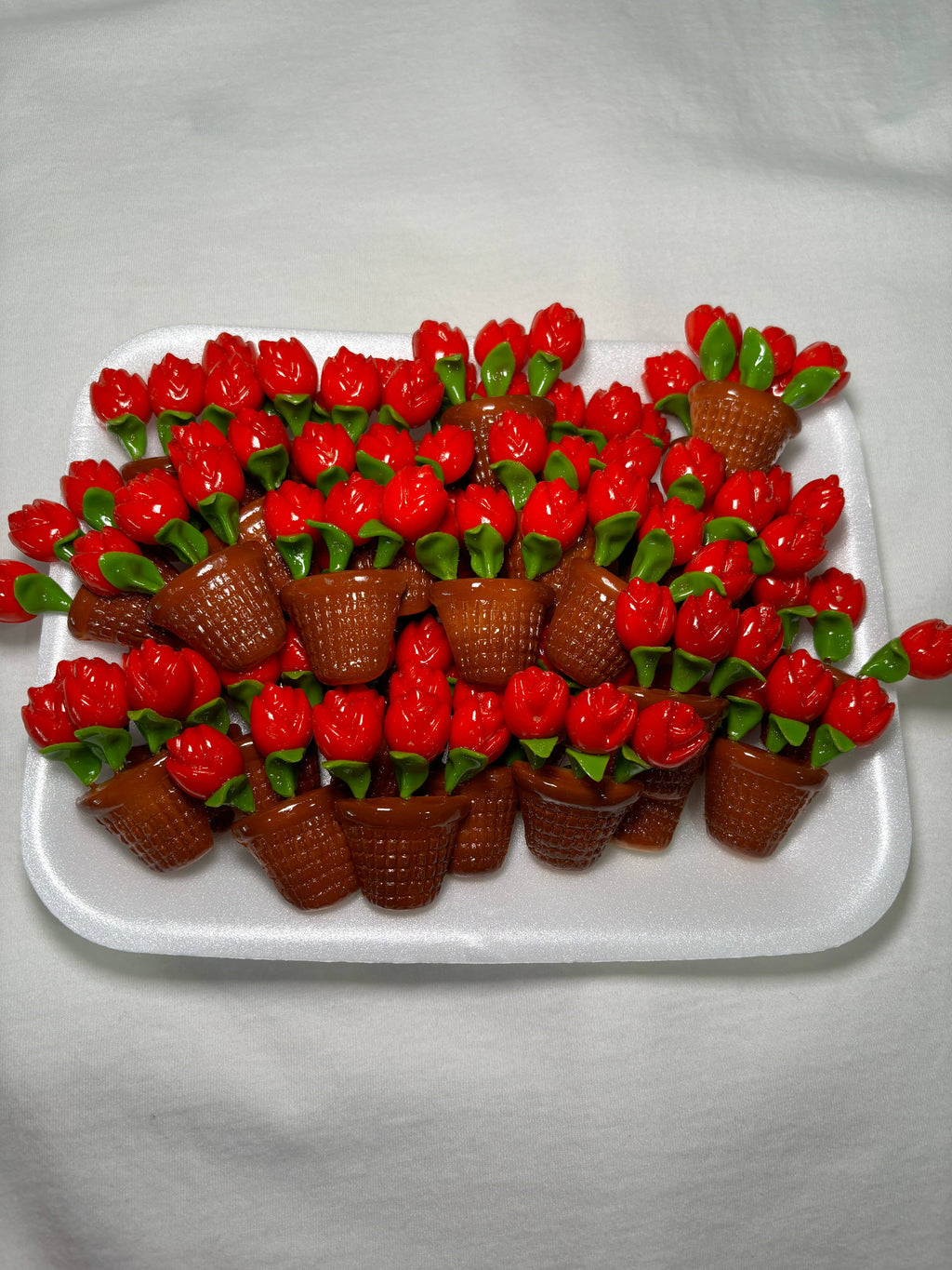 Roses in a Pot Magnet